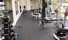 Gymnasium