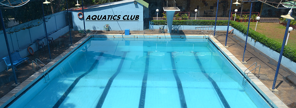 Introducir 48+ imagen aquatic club